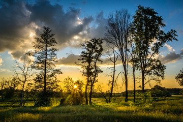 Fototapeta na wymiar Sunset over the tree, Poland