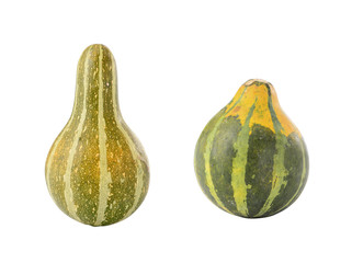 The close-up of pumpkin isolated on white background
