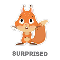 Isolated surprised squirrel.