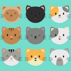 Cute Smiling Kitty Face Collection