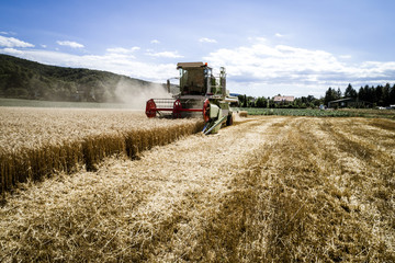 Green combine harvester harvesting wheat on a field in Austria in summer