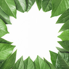 Round frame of green leaves. Creative layout of leaves on white background. Flat lay. Top view