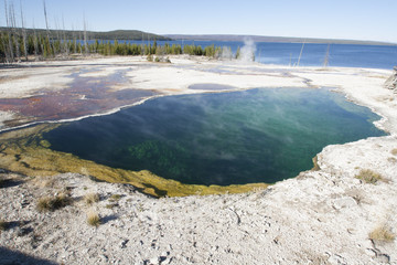 Yellowstone NP Montana