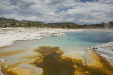 Fototapeta na wymiar Yellowstone NP Montana