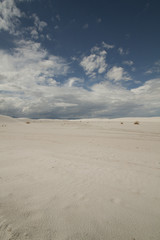 Fototapeta na wymiar White Sands, New mexico