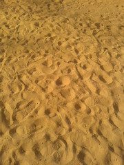 footprints in the sand