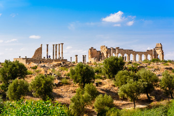 Volubilis (patrimoine mondial de l& 39 UNESCO) - ville romaine en partie fouillée, Meknès, Maroc.