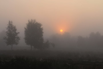 Fototapeta na wymiar Mist in Holland