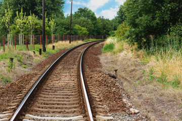 Bending rail tracks disappearing in forest