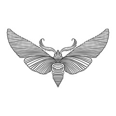 Night butterfly adult coloring book. Vector illustration. Anti-stress coloring. Zentangle style. Black and white sketch. Vector illustration.