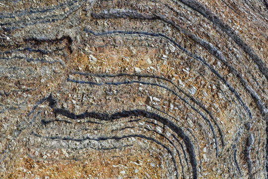 Very Rare Layers Of Prehistoric Rock Sediment Found On The Unique Island Of Fur In Northern Denmark