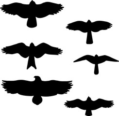 Set of black isolated silhouettes of birds.