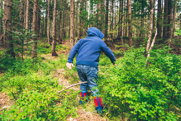 Little kid eat blueberry in the forest