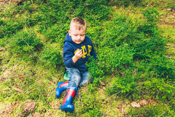 Little kid eat blueberry in the forest