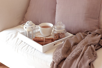 Home decor. French press with hot tea, cookies in glass jar, cup, knitted blanket. Warm winter. Cozy. 