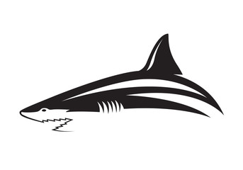 graphic shark on white background, vector