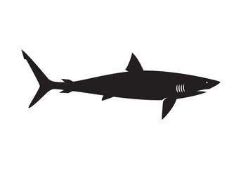 graphic shark on white background, vector