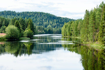 Fototapeta na wymiar Calm river flowing gently through woodland landscape. Location River Lagen in Norway.