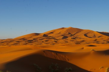 Fototapeta na wymiar Dune désert merzouga Maroc 