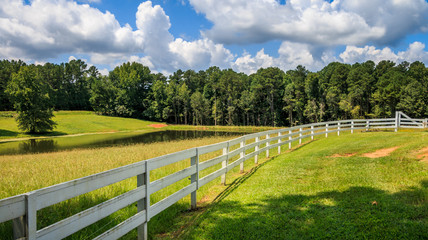 A large tree shades the front area of a white fence. There is a pasture, pond and trees in the background. Clouds and blue sky are in the background.