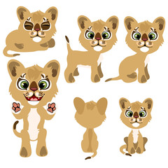Ginger kitty in different poses. Vector illustration in cartoon style on white background for animation, games, veterinary projects, childrens books and other design needs