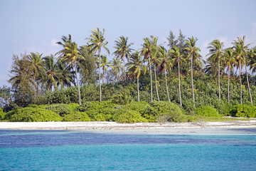 Tropical island Maldives