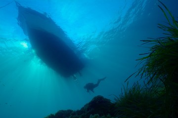 silhouette plongeur profil gauche © CHRISTINE