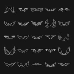 Fototapeta premium Wings set thin line vector illustration for design and web isolated on black
