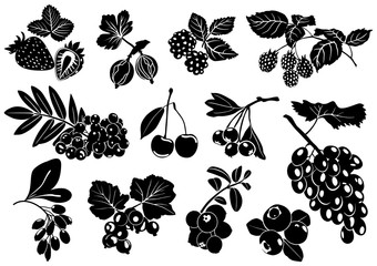 Silhouettes of berries with leaves on white background. Set. Vector.