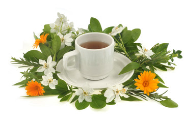 Infusion aux plantes