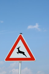 warndreieck achtung wildwechsel