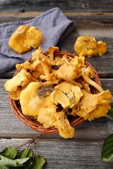 Fresh chanterelle mushrooms on a wooden background