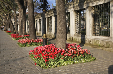 Hippodrome of Constantinople (Sultanahmet square) in Istanbul. Turkey