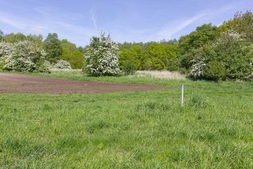 Liether Kalkgrube, Geotop, Naturschutzgebiet