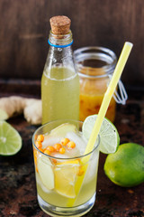Ice lemonade with lime, lemon and ginger.