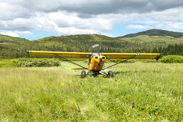 Fototapeta na wymiar Small aircraft taking off on scenic country meadow