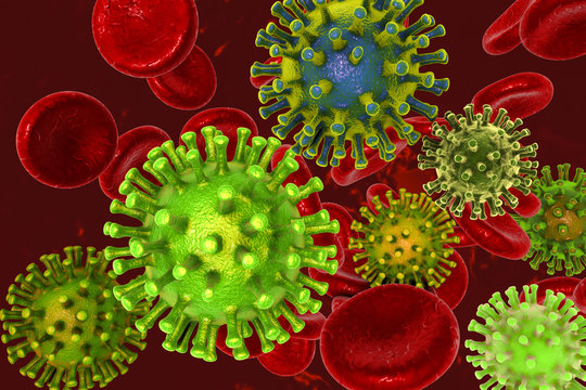 Herpes viruses in blood, 3D illustration