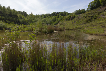 Fototapeta na wymiar Liether Kalkgrube, Geotop, Naturschutzgebiet