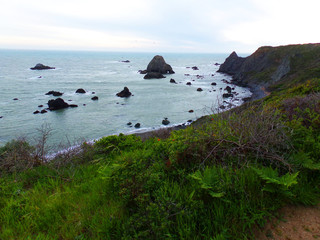 Rocks in the Ocean