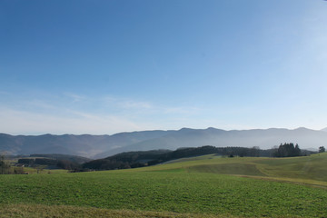 Fototapeta na wymiar Schwarzwald Landschaft