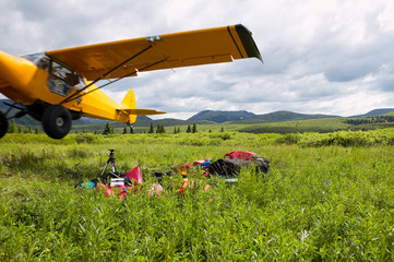 Yellow piper cub bush plane taking off