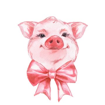 Funny pig and bow. Isolated on white. Cute watercolor illustration