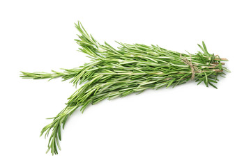 Fresh rosemary on white background