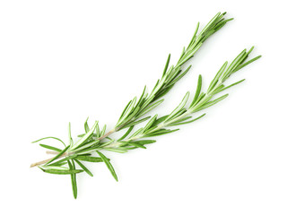 Fototapeta premium Świeży rozmaryn na białym tle