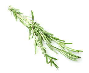 Fototapeta premium Świeży rozmaryn na białym tle