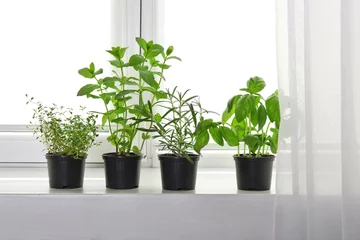 Crédence de cuisine en verre imprimé Herbes Pots with basil, thyme, rosemary and mint on windowsill