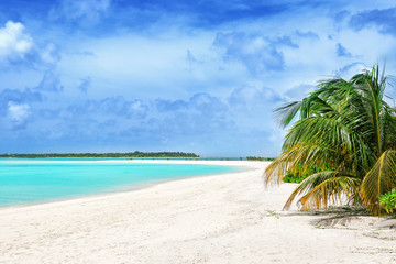 Obraz na płótnie Canvas Beautiful sea beach at tropical resort