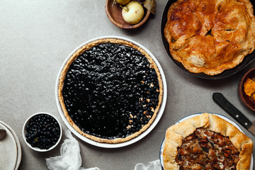 Variety of autumn pies: blueberry tart, chantarelle galette and classical apple pie with sweet pastry crust. Harvest time baking concept. Concrete rustic background. Space for text.