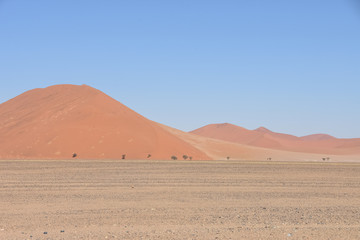 Fototapeta na wymiar Dunes - Namib Desert