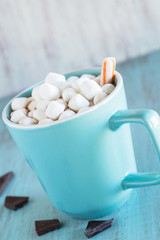 Cup of Hot Chocolate With Marshmallows and Peppermint